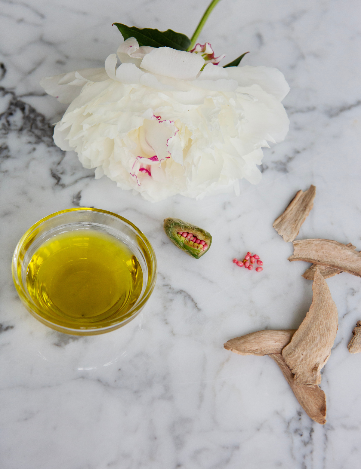 C.A.R.E Body Collection