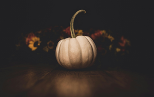 Fall Masterclass at Casa Evexía - October 19th, 2025